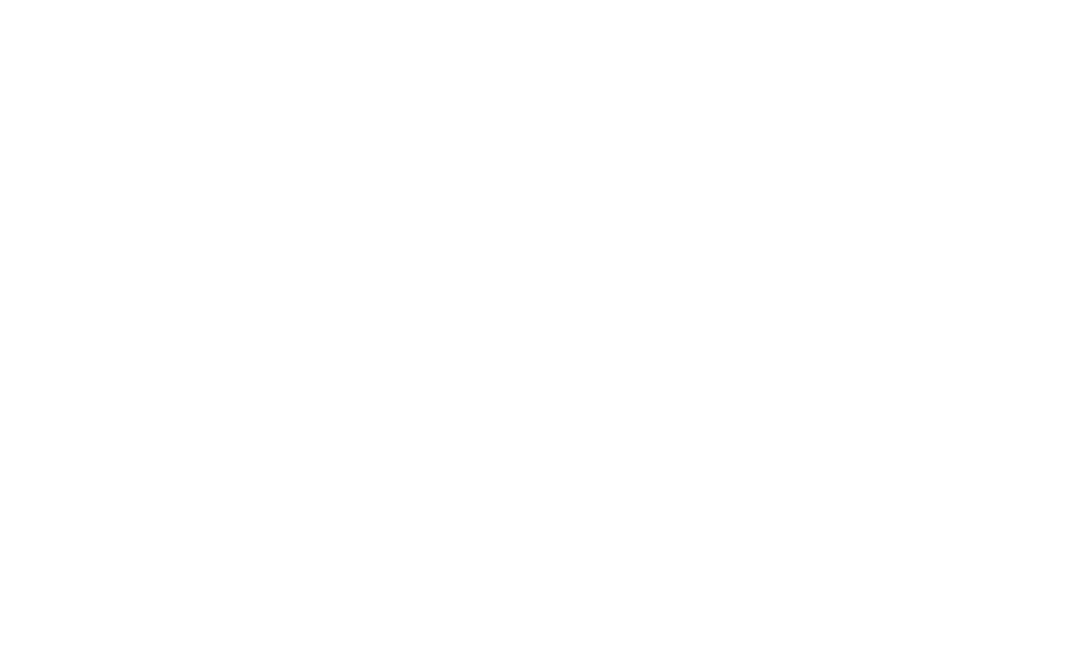 PARAMEDIX